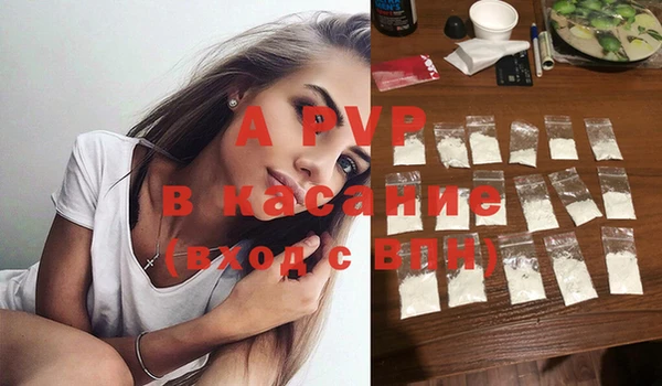 ECSTASY Белокуриха