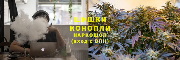 ECSTASY Белокуриха