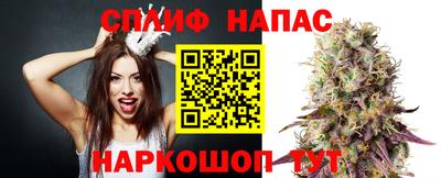 apvp Партизанск