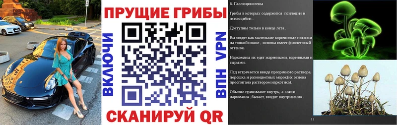 Галлюциногенные грибы Psilocybine cubensis  наркота  Сланцы 