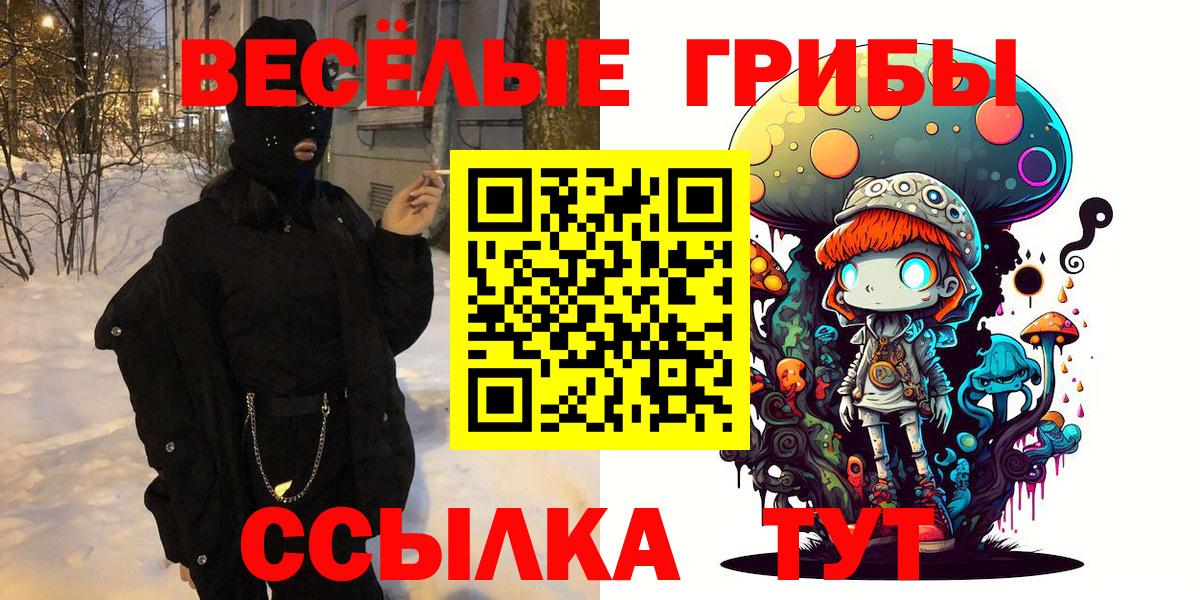 закладки  Вход с VPN  Сланцы  Псилоцибиновые грибы Magic Shrooms 