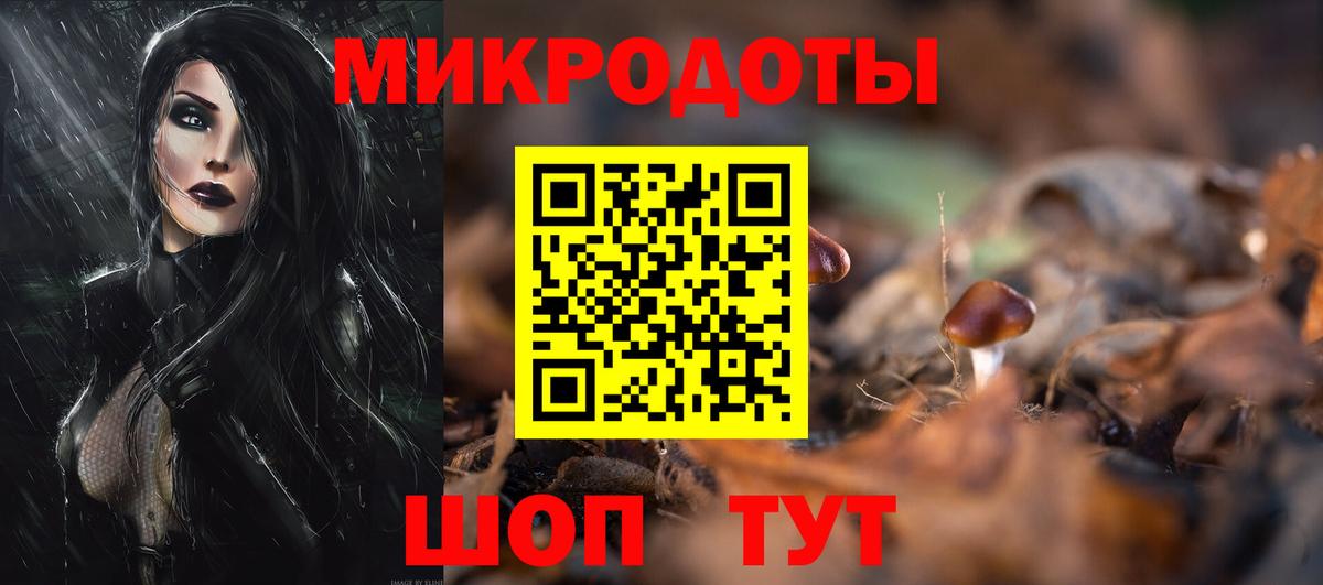 Галлюциногенные грибы Cubensis Сланцы